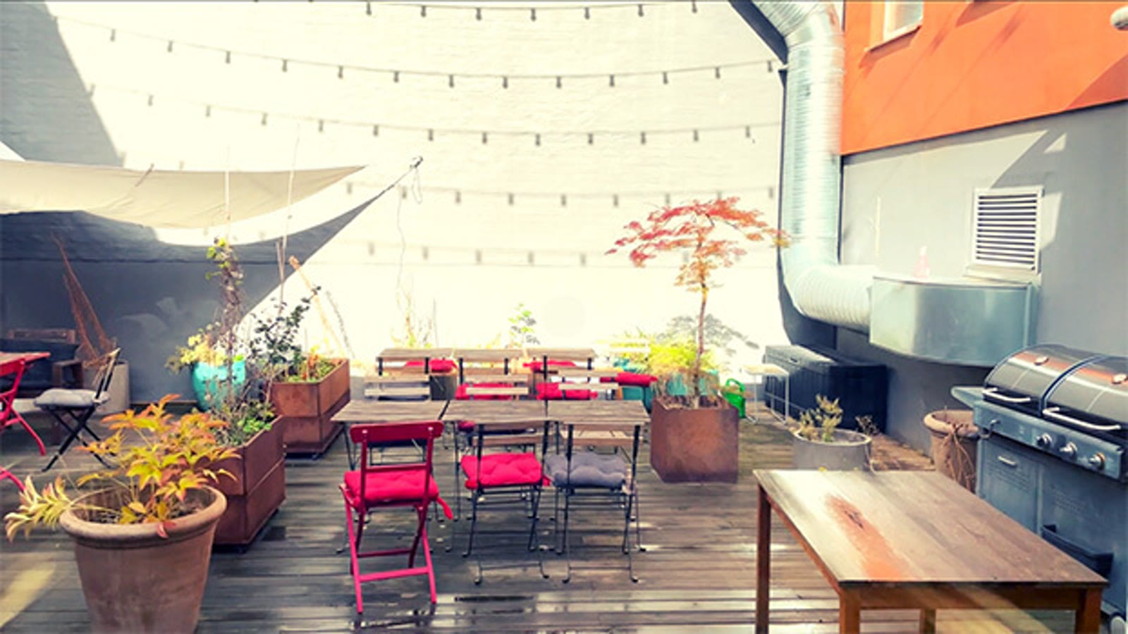 The outdoor patio at The Ground — wooden deck with hot-pink metal chairs and benches, planters with Japanese maple and greenery, string lights overhead, and orange wall behind